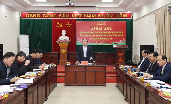 Giám sát việc tổ chức thực hiện Chương trình số 08-CTr/TU tại huyện Thường Tín-1