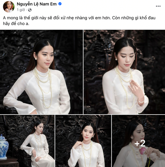 Diễn biến mới đầy uẩn khúc của vụ Nam Em: Nhân vật chính biến mất, chồng sắp cưới kiểm soát mọi tài khoản, chị gái nóng lòng kêu cứu-4