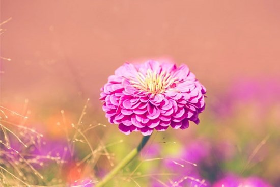 Phúc lộc gõ cửa: Đầu tháng 3, 3 con giáp biến rủi thành may, sự nghiệp lên hương, tiền tăng phi mã