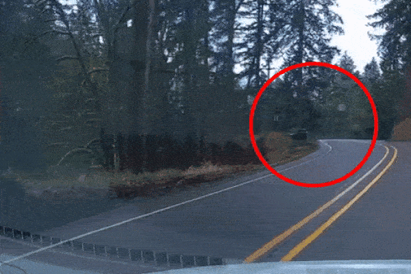 Clip: Honda CR-V lao xuống vực sâu 60 mét, tài xế sống sót khó tin