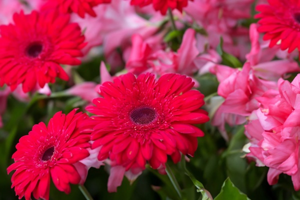 Phúc lành vô tận: 3 con giáp năm 2024 có sự thay đổi lớn về tài chính, tiền của ngày một dôi dư-1