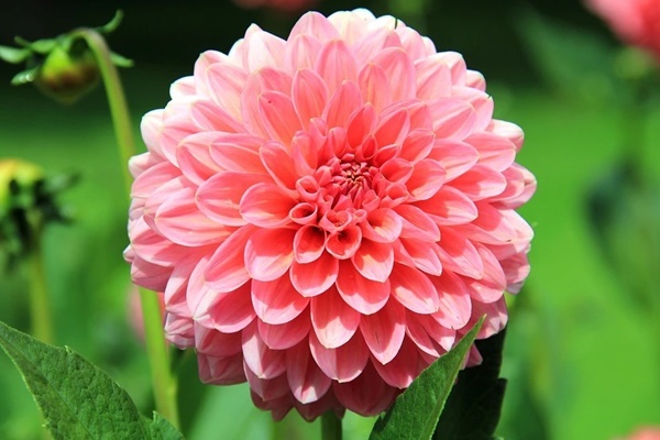 Tài lộc gõ cửa: Đầu tháng 3, 3 con giáp biến rủi thành may, sự nghiệp lên hương, tiền tăng phi mã-2