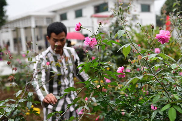 Miền Bắc tiếp tục rét trước khi tăng nhiệt mạnh-2