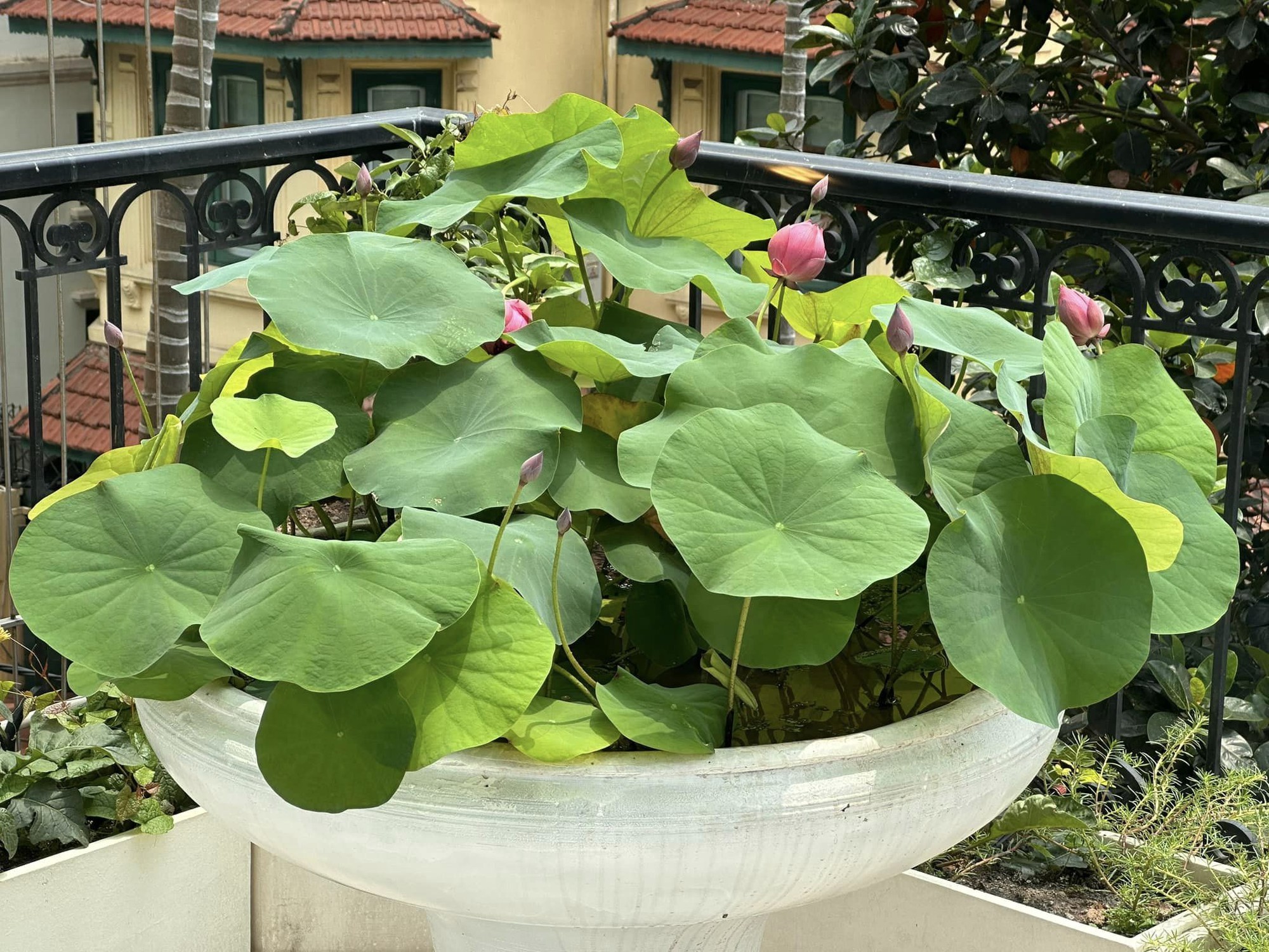 Hoa hậu bí ẩn nhất Việt Nam tuổi U40, sống kín tiếng trong biệt thự ở Hà Nội-21