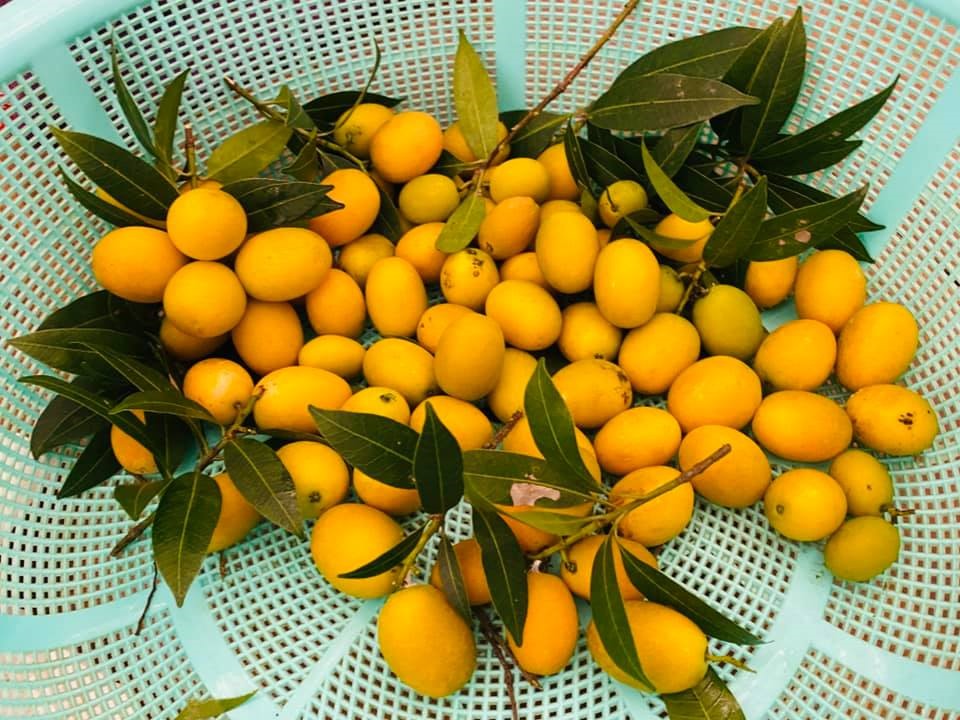 Hoa hậu bí ẩn nhất Việt Nam tuổi U40, sống kín tiếng trong biệt thự ở Hà Nội-31