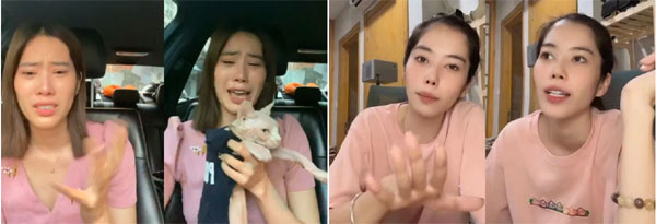 Nghệ sĩ Việt trả giá vì vạ miệng-1