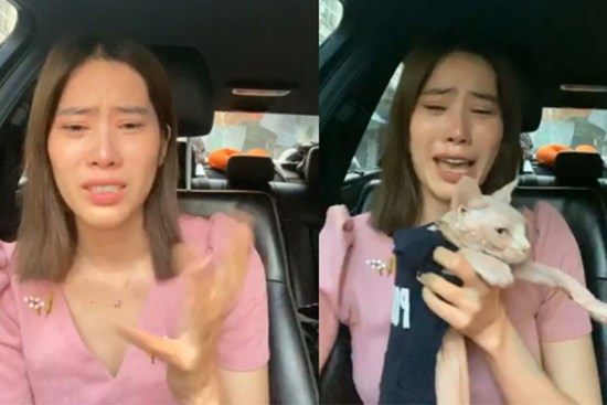 Nghệ sĩ Việt trả giá vì vạ miệng