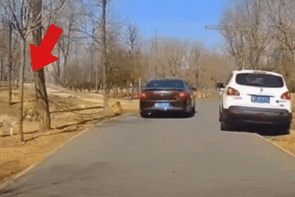 Clip: Xe bán tải bất ngờ tông thẳng vào hông xe tải ở ngay ngã tư-1