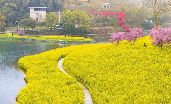 Cuối tháng Giêng, 4 con giáp công việc tiến triển thuận lợi, không còn áp lực kiếm tiền, mọi sự dễ dàng-3