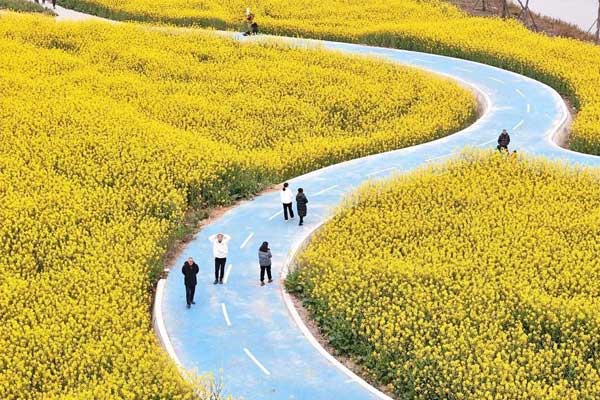 Cuối tháng Giêng, 4 con giáp công việc tiến triển thuận lợi, không còn áp lực kiếm tiền, mọi sự dễ dàng-4