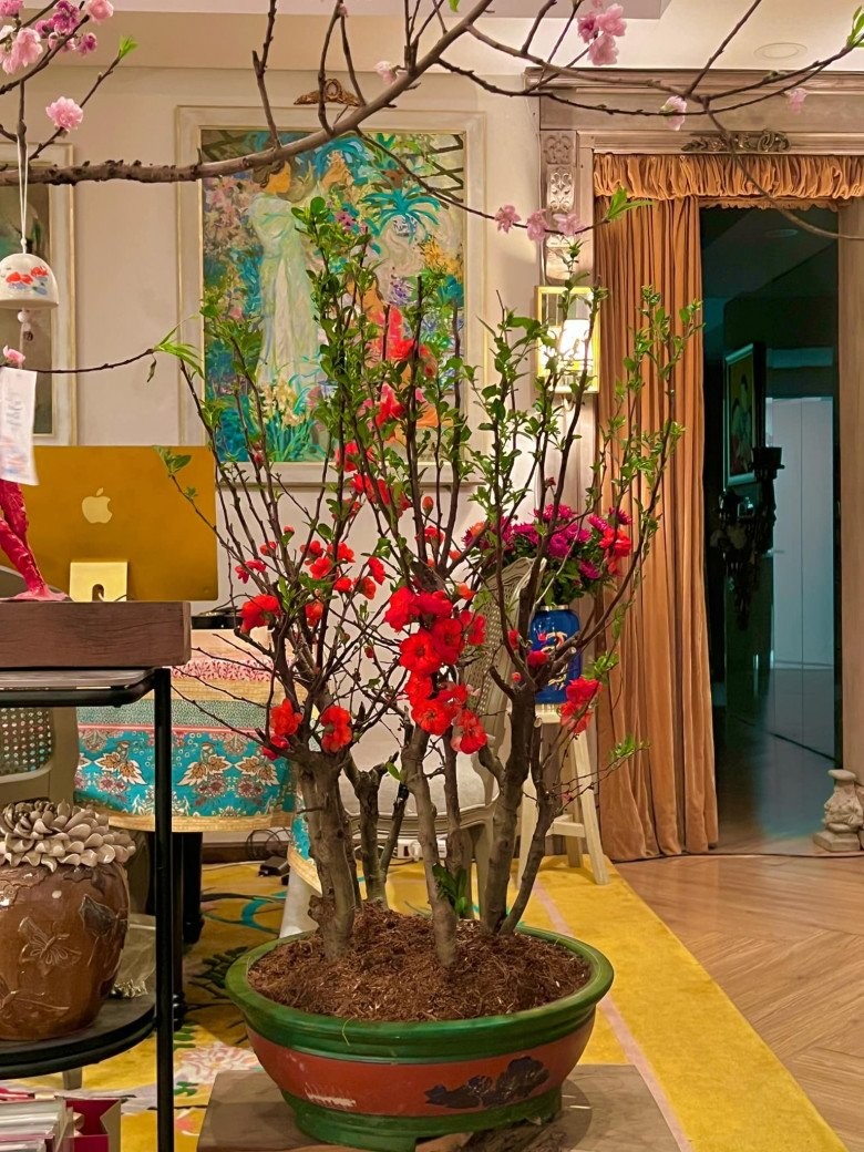 Cầu kỳ thế này bảo sao nhà cháu trai gia tộc giàu nhất nhì Việt Nam luôn đẹp và chất!-12