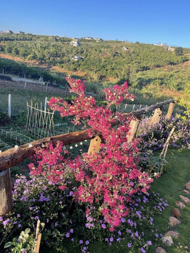 Nữ ca sĩ 8X nay thành nông dân, sống trong cơ ngơi xinh đẹp trên mảnh đất 2.000m2 ở thành phố ngàn hoa-10