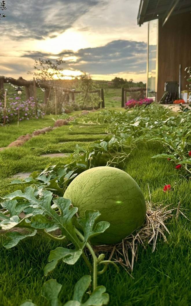 Nữ ca sĩ 8X nay thành nông dân, sống trong cơ ngơi xinh đẹp trên mảnh đất 2.000m2 ở thành phố ngàn hoa-14