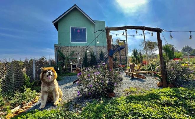 Nữ ca sĩ 8X nay thành nông dân, sống trong cơ ngơi xinh đẹp trên mảnh đất 2.000m2 ở thành phố ngàn hoa-21