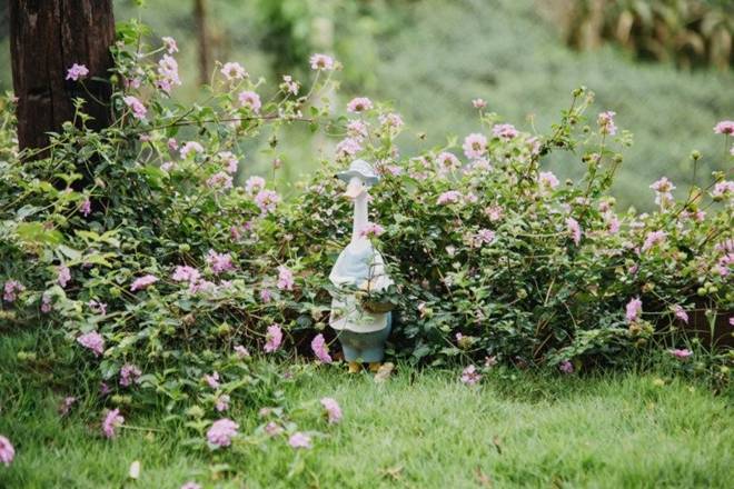 Nữ ca sĩ 8X nay thành nông dân, sống trong cơ ngơi xinh đẹp trên mảnh đất 2.000m2 ở thành phố ngàn hoa-30