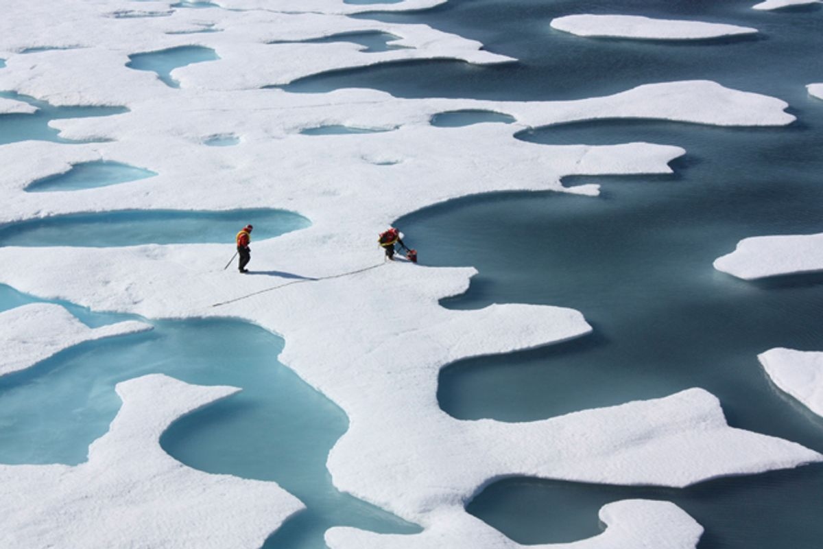Bắc Băng Dương có thể không có băng vào những năm 2030-1