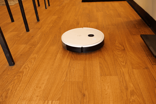 Quả xoài đực hay quả xoài cái ngon hơn?-2