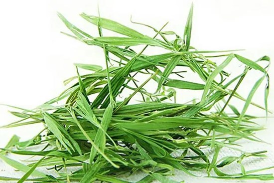 Nhổ cây dại mọc ven đường về trồng, không ngờ là thuốc quý dưỡng thận không tốn một xu