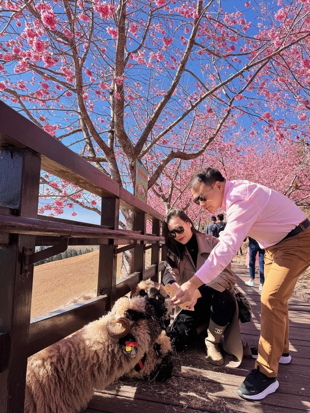 Phương Oanh lần đầu khoe full HD bụng bầu song thai, cân nặng hiện tại cán mốc con số bất ngờ-5