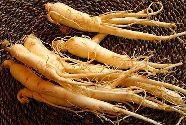 1 loại cây quý là thần dược” hạ đường huyết: Ăn tươi hay nghiền bột đều vô cùng bổ dưỡng-3