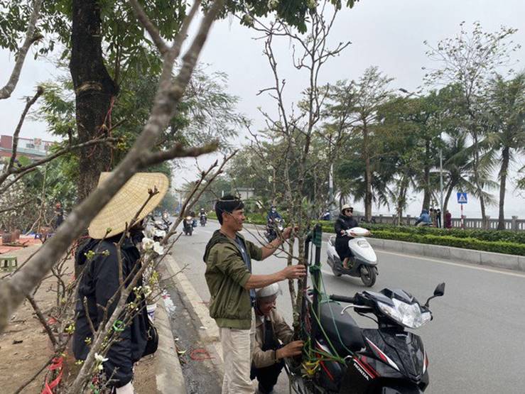 Người Hà Nội thích thú ăn chơi hết tháng Giêng với hoa lê rừng-2