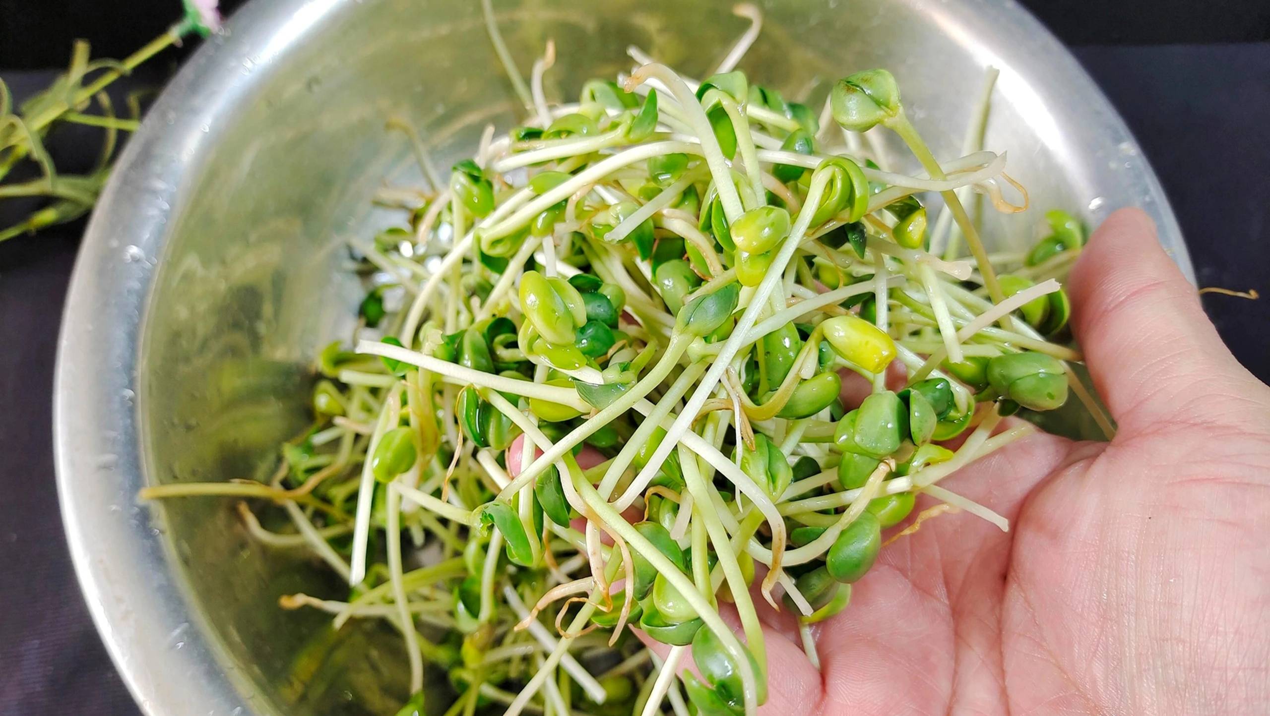 Loại rau nhân sâm xanh ít người biết, siêu vitamin, bổ máu, lợi gan, xào thịt bò cực giòn ngọt-5