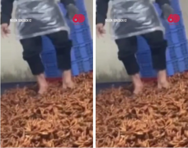 Rùng mình hình ảnh chân gà siêu cay trên TikTok bị giẫm đạp, đổ đống dưới đất: Nhìn thế này liệu còn ai dám ăn?-2