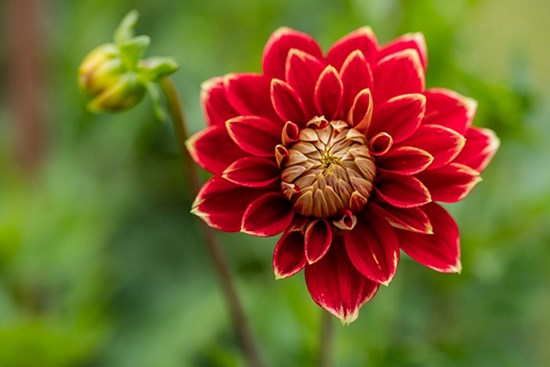 Vận thế thăng tiến đều đều, 3 con giáp chính thức hết khổ, tháng 2 Âm lịch giàu lên trông thấy