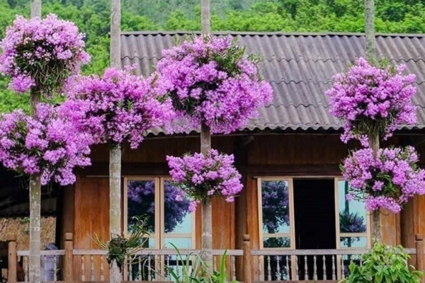 Bình yên cất giấu trong ngôi nhà hiện đại kết hợp phong cách Đông Dương-23