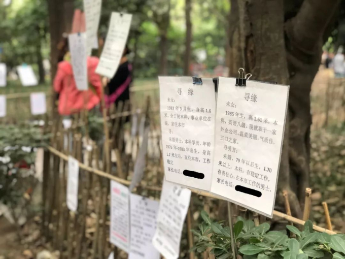 Nghề mai mối dạo trong công viên ở Thượng Hải (Trung Quốc): Mua dịch vụ hơn 300.000/tháng thì có thể tìm được bạn đời lý tưởng?-4