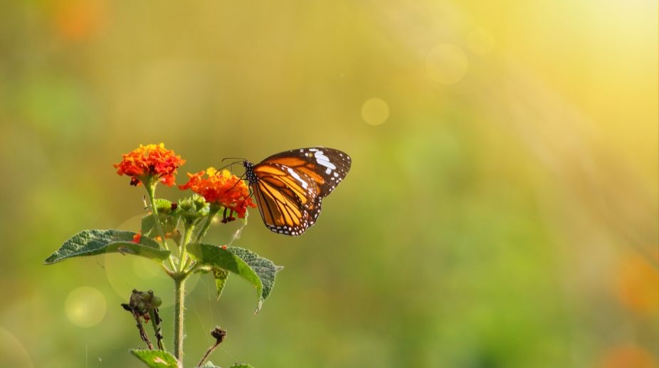 Tử vi ngày 7/3/2024: Tuổi Dần tin tức tốt lành, tuổi Tuất thiếu sự chỉn chu-2