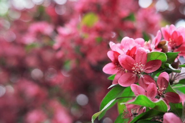 Từ ngày mai, 3 con giáp này cưỡi sóng đạp gió hứng đầy tài lộc, may mắn mang tiền về tận cửa-3