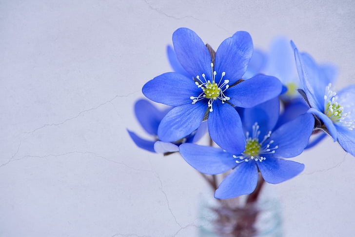 Tử vi ngày 8/3/2024: Tuổi Sửu suôn sẻ mọi điều, tuổi Ngọ quả ngọt” về tay-3