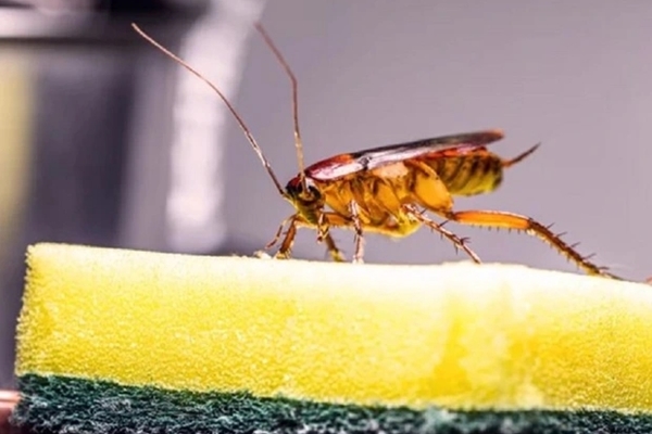 Mẹo nhỏ siêu hay từ móc treo quần áo-1