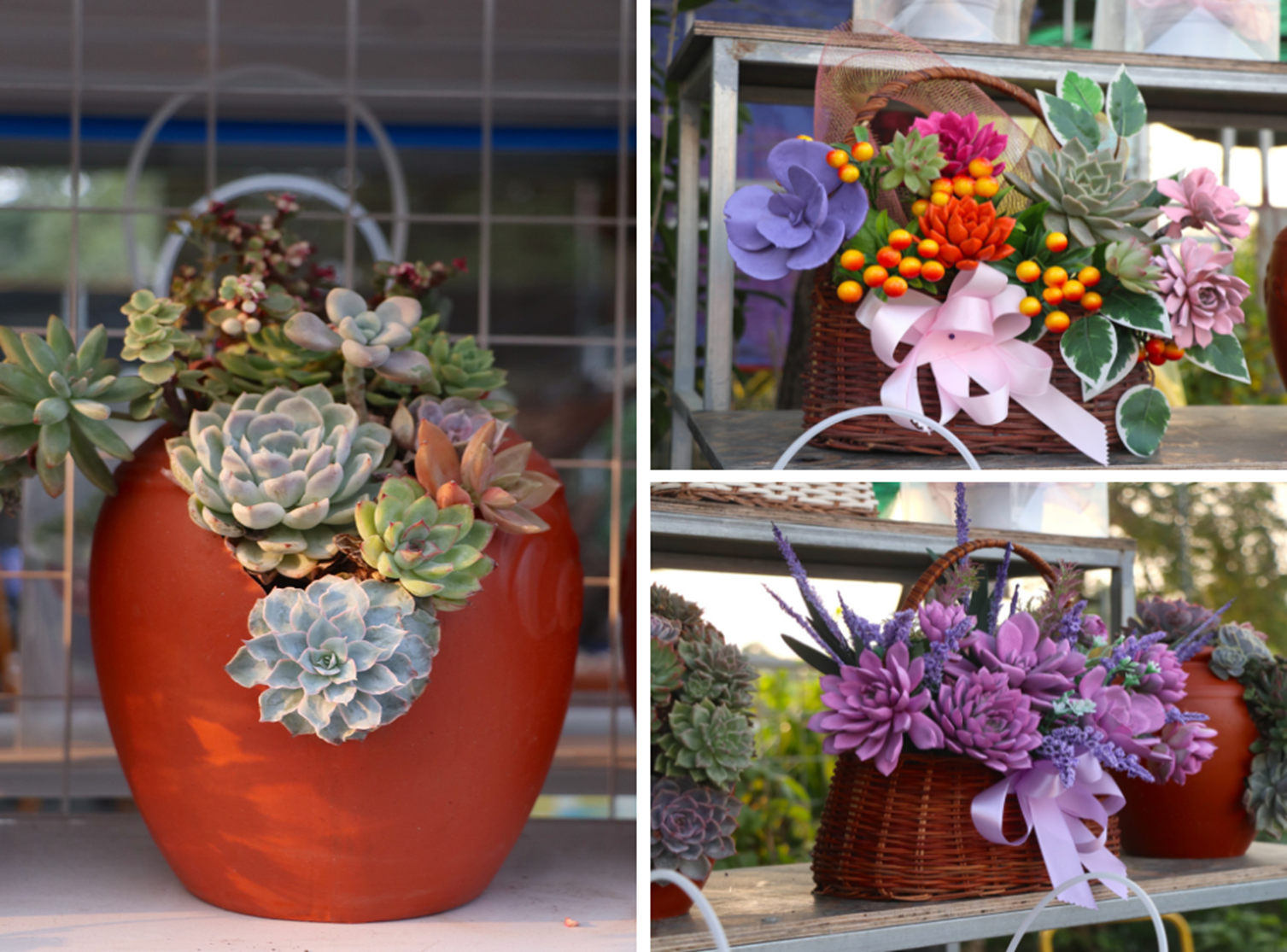 Sen đá lạ mắt hút khách dịp Quốc tế Phụ nữ 8/3-2