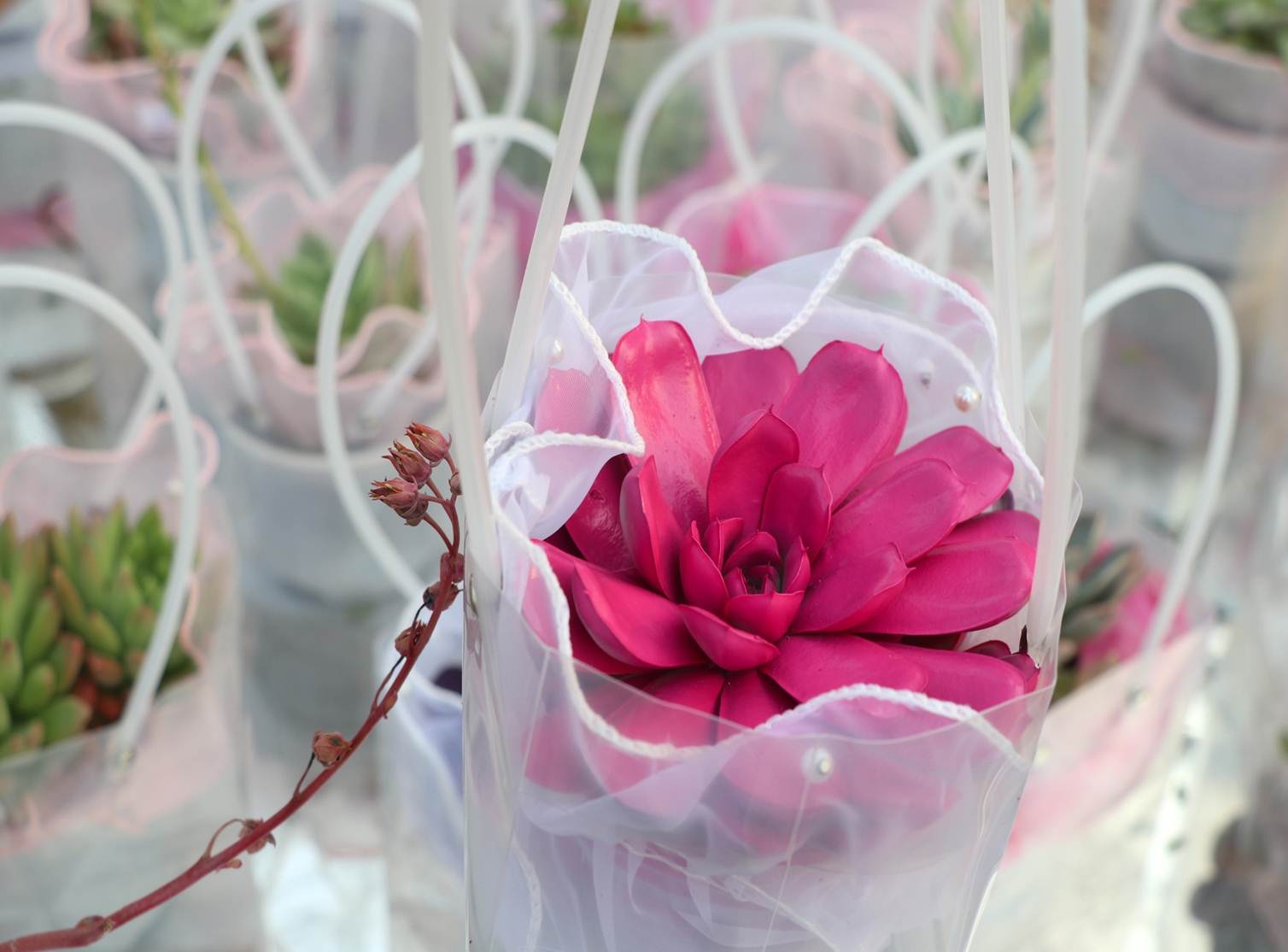 Sen đá lạ mắt hút khách dịp Quốc tế Phụ nữ 8/3-9