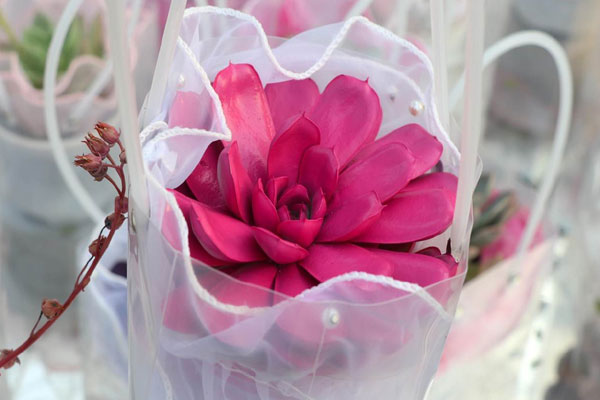 Giá hoa 8/3 tăng mạnh, khách vẫn chen nhau mua-17