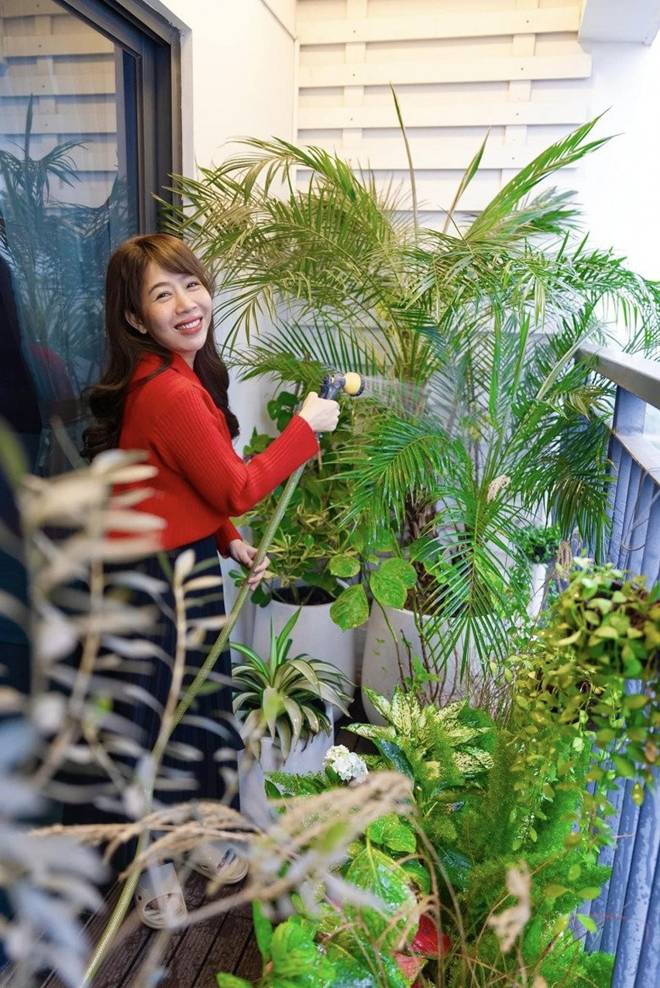 Khu vườn xanh mát mắt trong căn hộ chung cư của BTV VTV Diệp Chi, trồng cả hoa cẩm tú cầu xinh đẹp-1