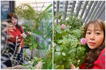 Khu vườn xanh mát mắt trong căn hộ chung cư của BTV VTV Diệp Chi, trồng cả hoa cẩm tú cầu xinh đẹp