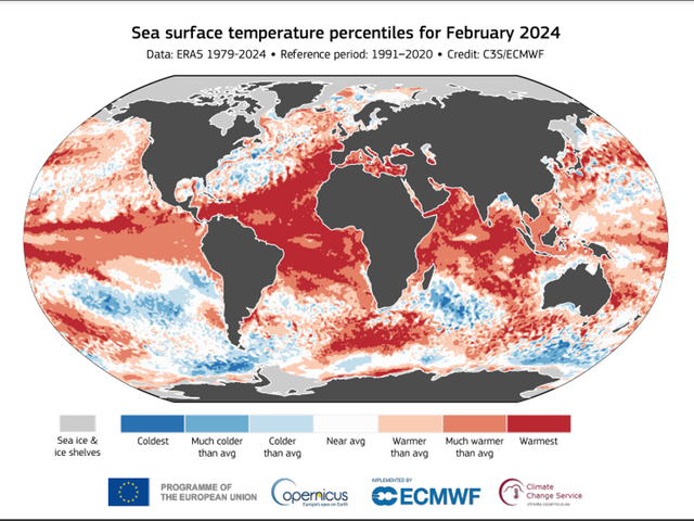 Nhiệt độ các đại dương trên thế giới tăng lên mức cao nhất trong lịch sử-3