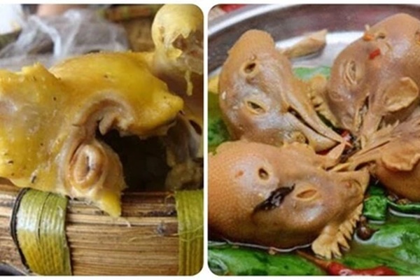 4 bộ phận bẩn nhất của con gà, chứa đầy ký sinh trùng nhưng nhiều người vẫn ăn-1