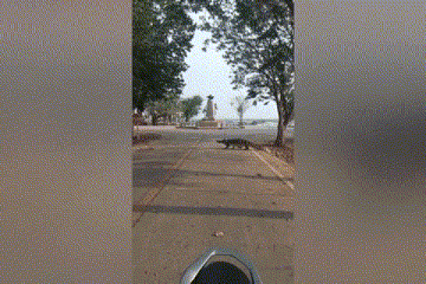 Đang câu cá, thanh niên vội bỏ chạy khi thấy thứ đáng sợ đuổi theo-1