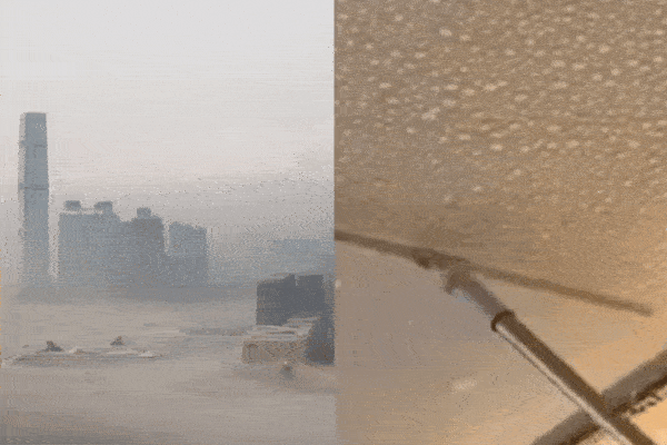 Nghi phạm vụ thảm sát rúng động Canada: Sống cùng nhà, vừa được gia đình nạn nhân tổ chức sinh nhật-3