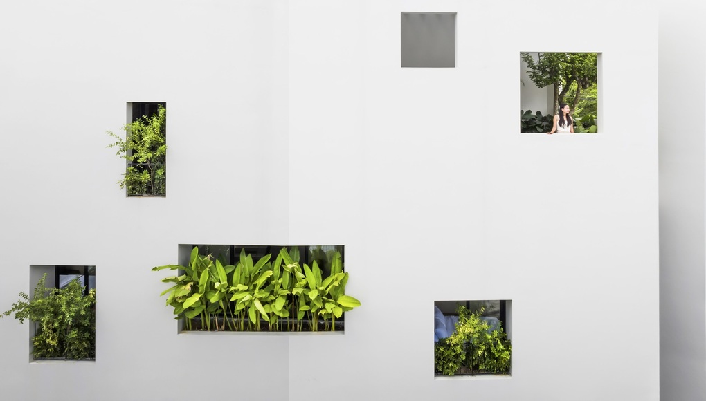 Nhà phố xanh mướt độc đáo với hình dáng du thuyền tại Nha Trang-3