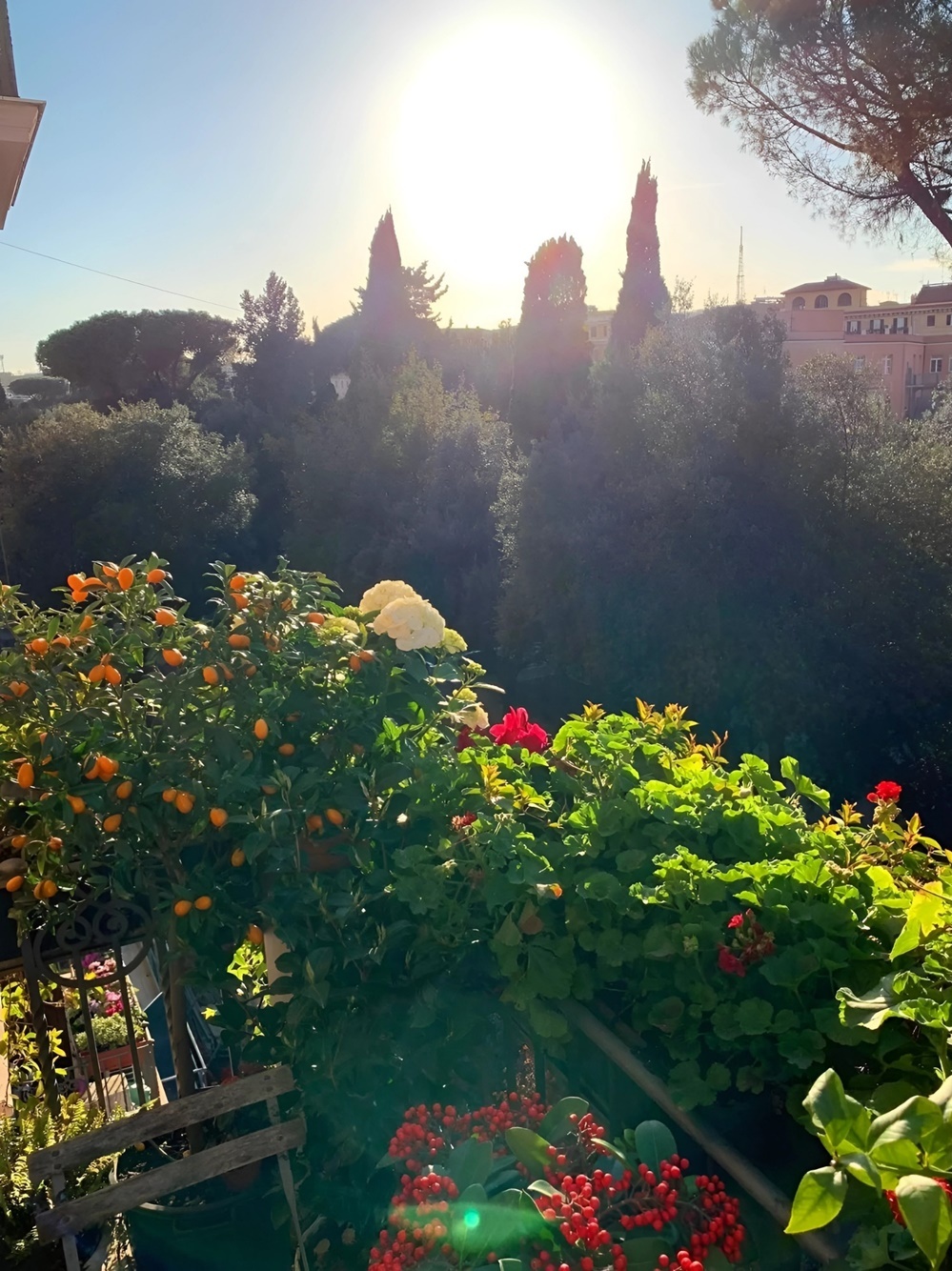 Hoa hậu giàu nhất Việt Nam Ngô Mỹ Uyên sống ra sao bên Ý?-9