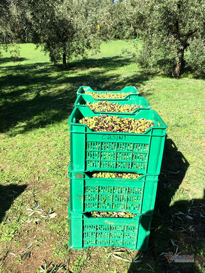 Hoa hậu giàu nhất Việt Nam Ngô Mỹ Uyên sống ra sao bên Ý?-24