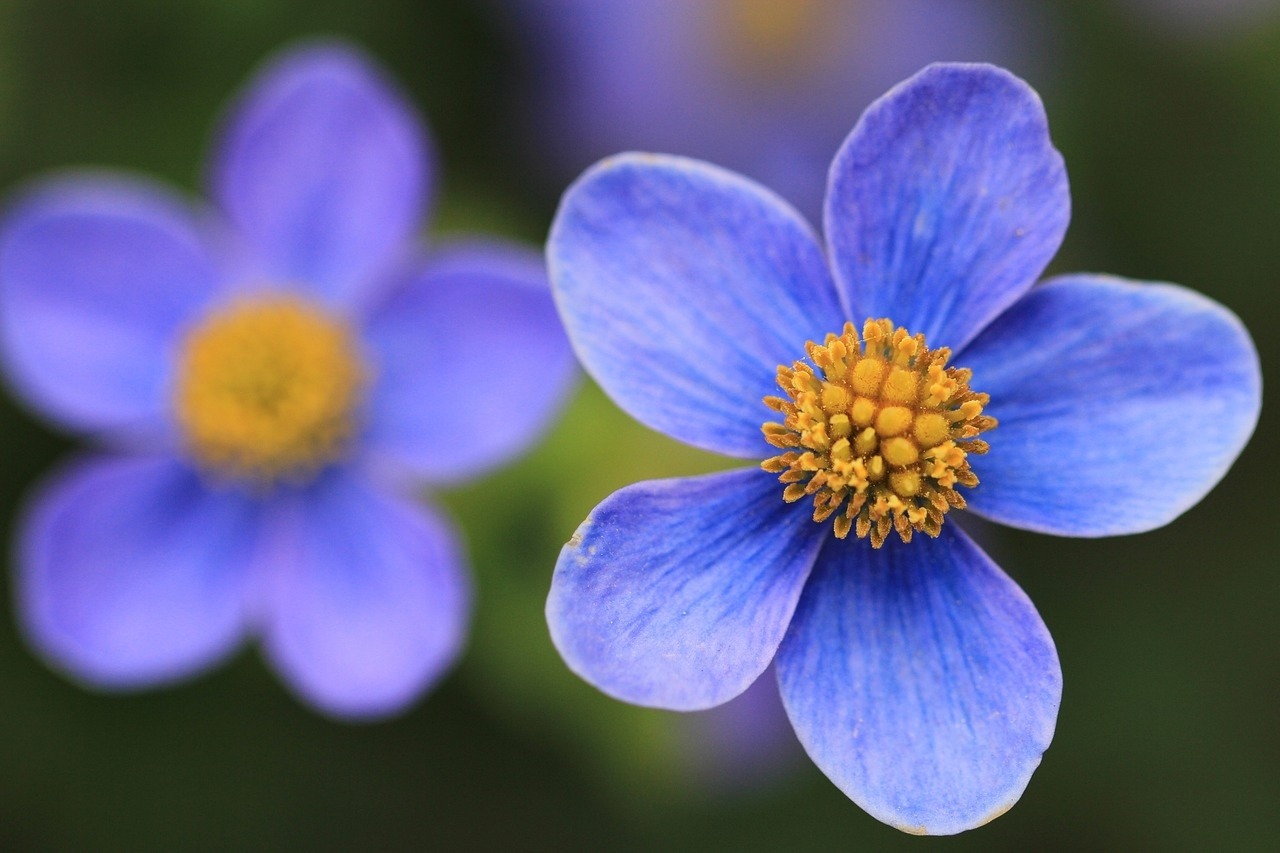 Con cưng của Thần Tài: 3 con giáp danh lộc như ý, từ giữa tháng 3, hốt vàng hứng bạc-1