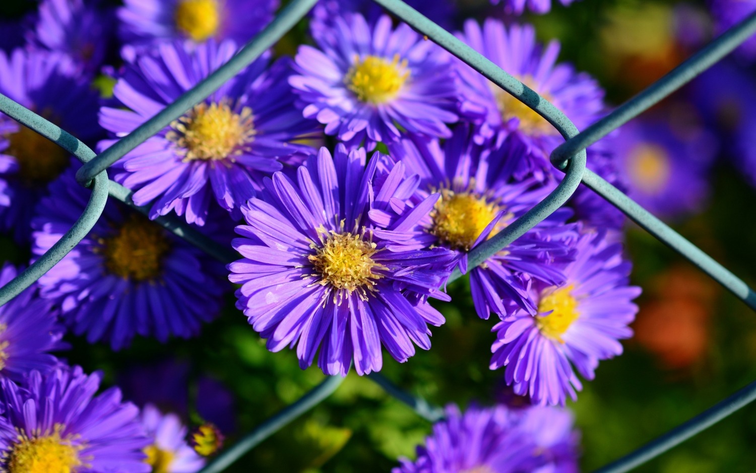 Con cưng của Thần Tài: 3 con giáp danh lộc như ý, từ giữa tháng 3, hốt vàng hứng bạc-3