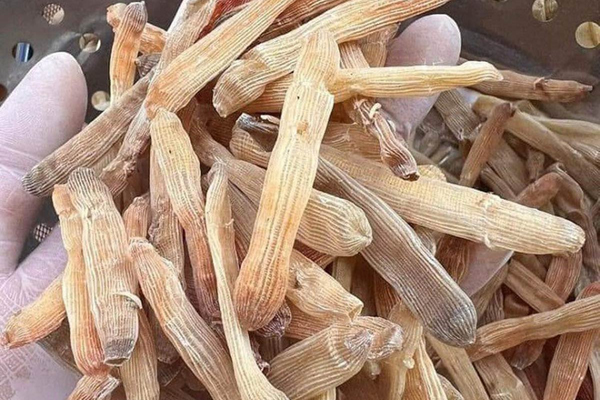 Loại hải sản tưởng quen mà lạ” có màu xanh ngọc là con gì mà chị em thi nhau đặt mua?-5