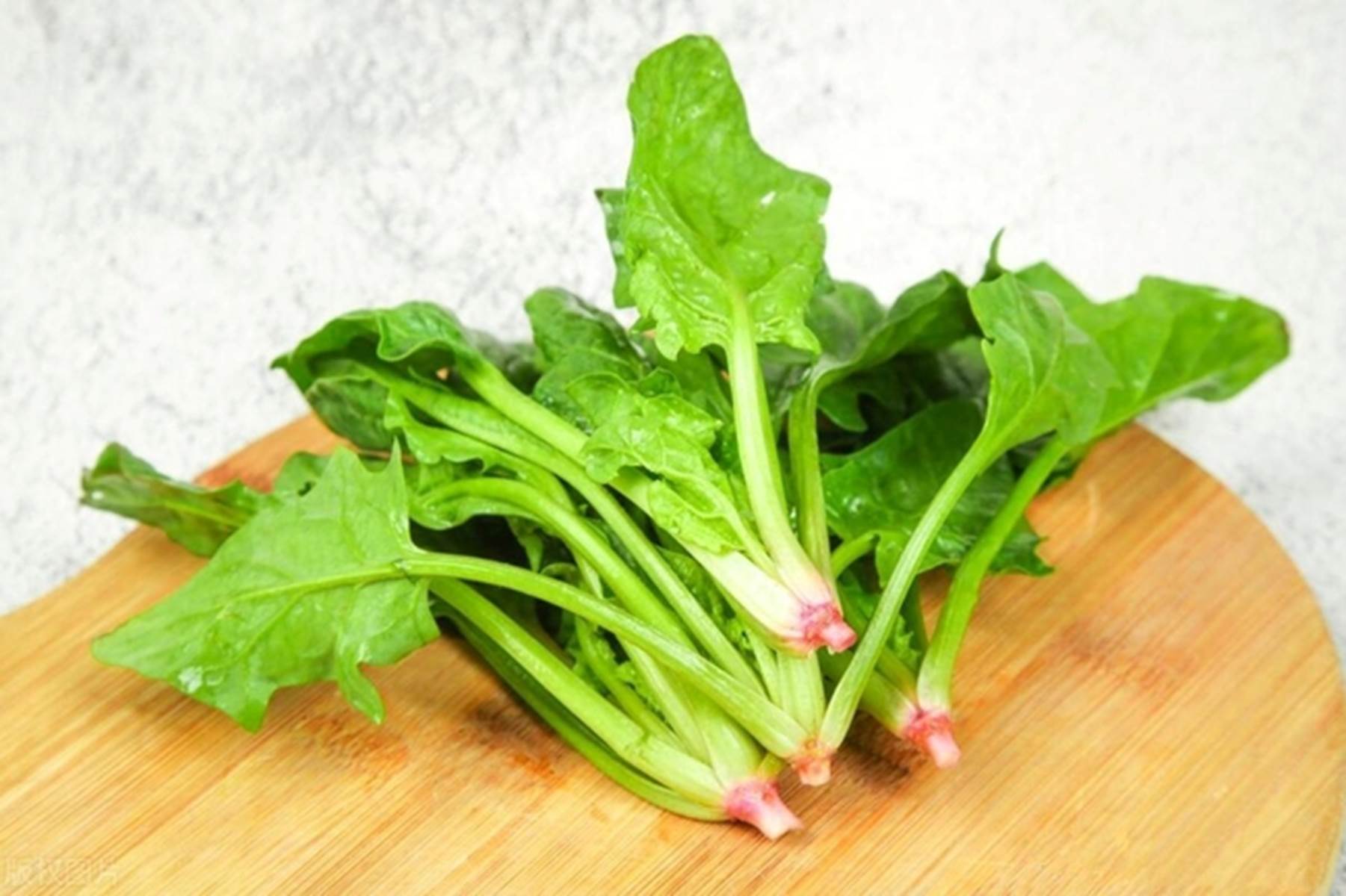 4 báu vật nên thưởng thức vào mùa xuân, không chỉ tăng sức đề kháng mà còn giúp dưỡng da hiệu quả-1